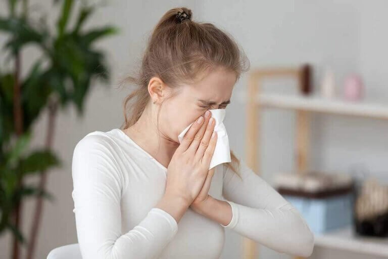 5 remedios naturales para la sinusitis