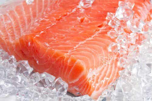 Filete de salmón en hielo.