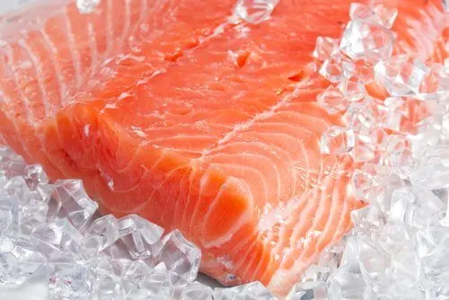 Filete de salmón en hielo.