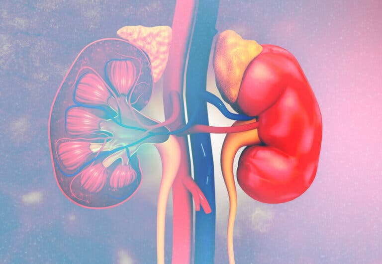 Hiperplasia suprarrenal congénita: síntomas, causas y tratamientos