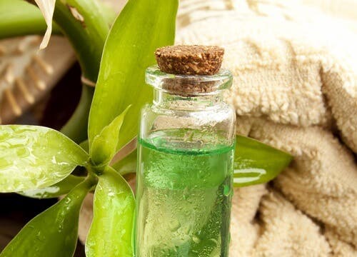 Descubre los 10 mejores aceites esenciales