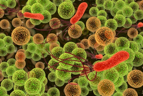 Bacterias sitios sucios