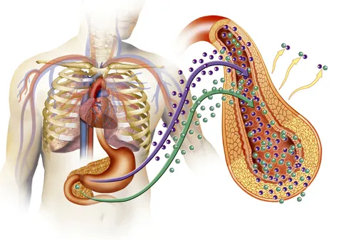 diabetes en el cuerpo humano