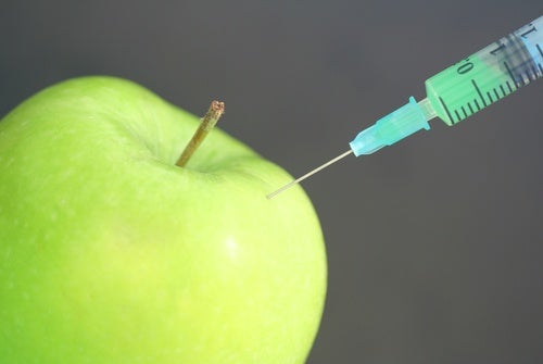 Conservantes en los alimentos: mitos y verdades