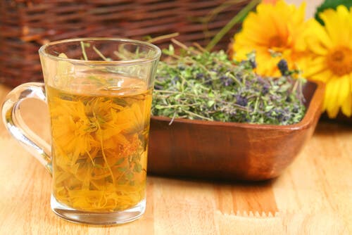 4 infusiones para depurar nuestro organismo