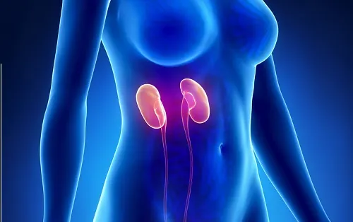 Tratamiento natural para la insuficiencia renal