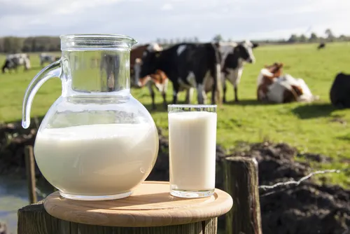 Du lait