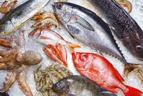 Pescados que debes evitar en tu dieta.