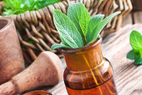 Las 15 mejores hierbas medicinales y sus usos