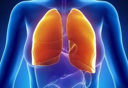 Cómo tratar las enfermedades respiratorias con remedios naturales
