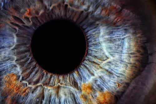 ¿Cómo saber tu estado de salud por los ojos?