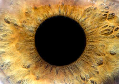 Tips para evitar enfermedades en tus ojos