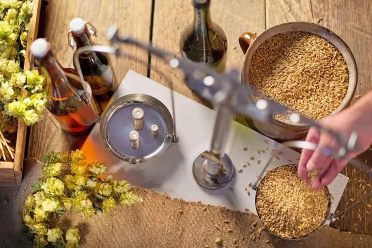 ¿Cómo preparar cerveza casera?
