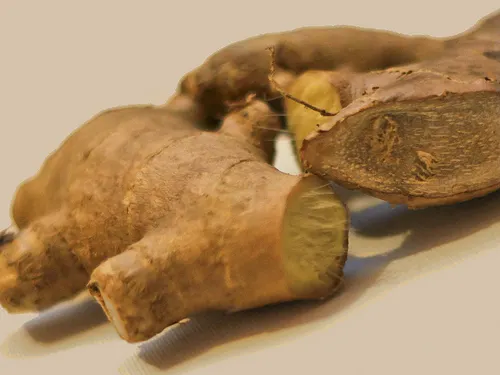 Hervir agua con raíz de jengibre y aplicarlo en la espalda puede servirte de ayuda contra el fallo renal.