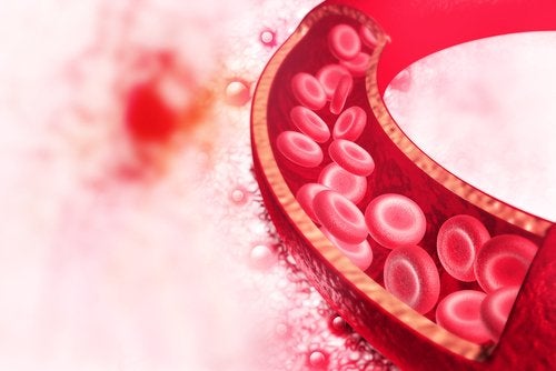 Claves para bajar la presión arterial