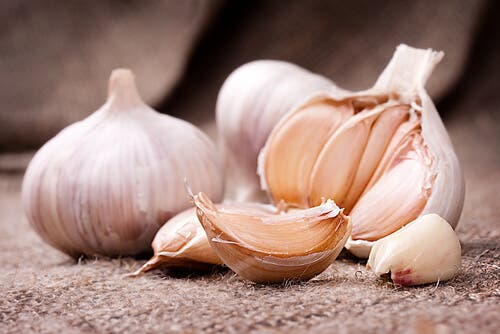 Formas de preparar el ajo
