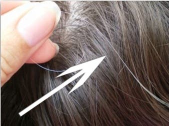 Cómo prevenir las canas prematuras