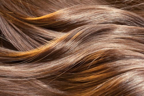 ¿Es posible hacer crecer el cabello?