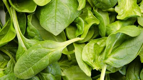 Cómo tratar y mejorar la tiroides de manera natural  Mejor con Salud