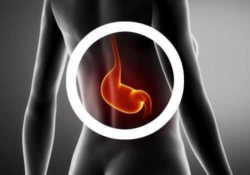 Pautas en tu dieta para tratar la gastritis