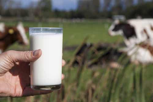 leche de vaca, encefalopatía espongiforme bovina