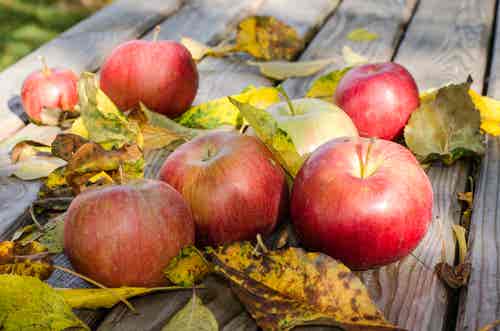 Manzanas para combatir las varices