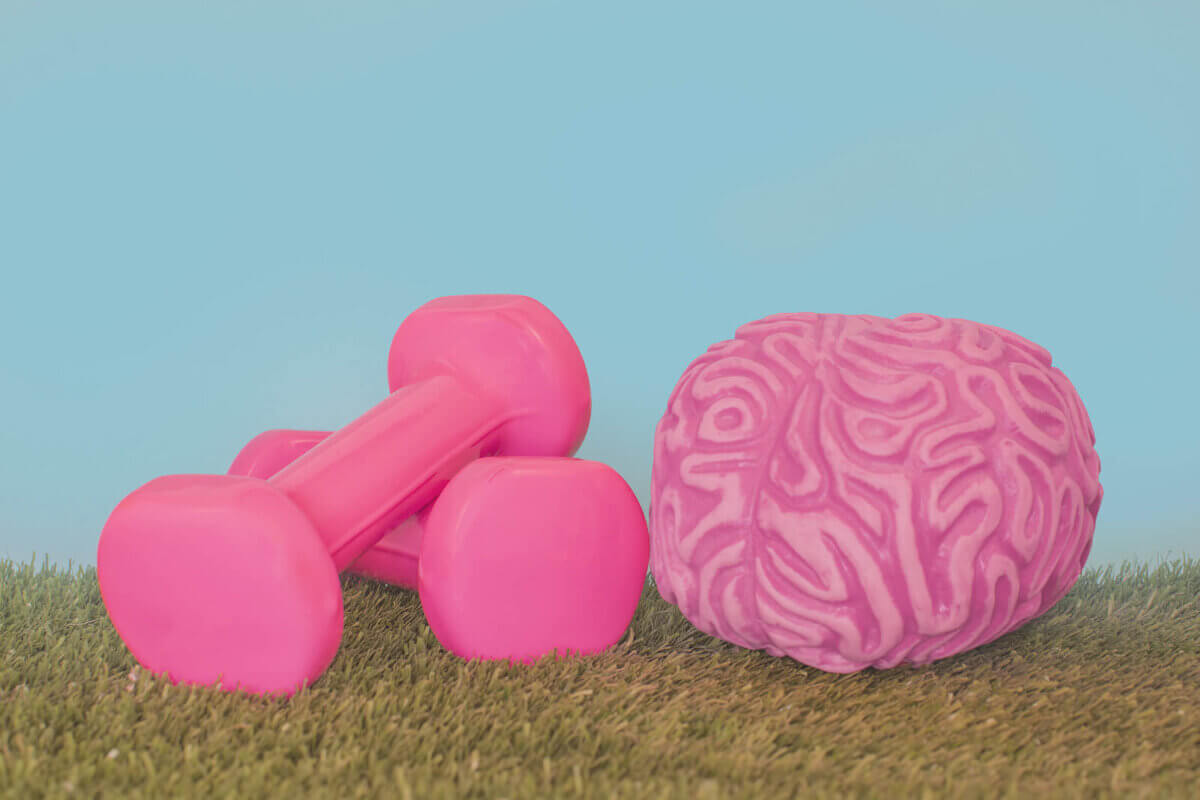 Infusiones para Fortalecer el Sistema Nervioso: Un Camino Natural hacia la Calma y el Equilibrio