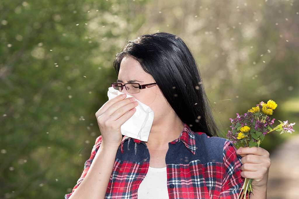 5 remedios curativos para la rinitis alérgica