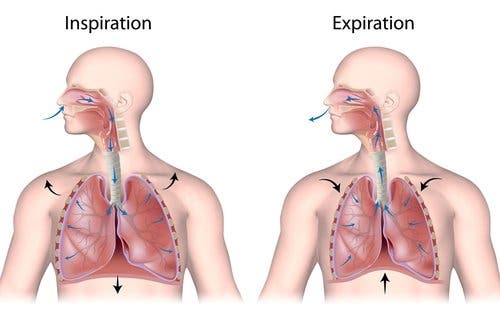 Enfermedades del sistema respiratorio