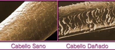 La forma de peinarte influye en la salud de tu cabello