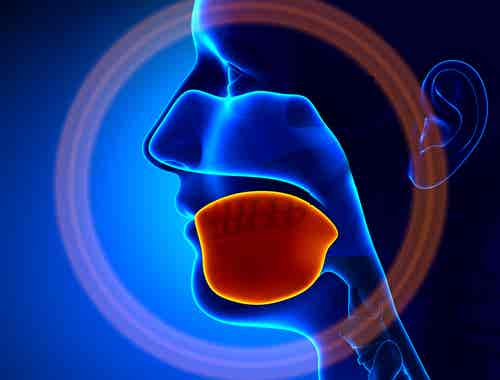 ¿Cuáles son las causas del cáncer oral?
