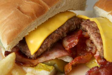 ¿Sabes de qué están hechas las hamburguesas de los locales de comida rápida?