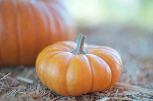calabaza y beneficios de la calabaza