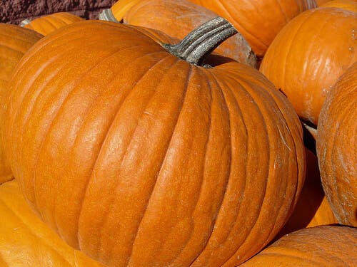 Receta de la mermelada de calabaza
