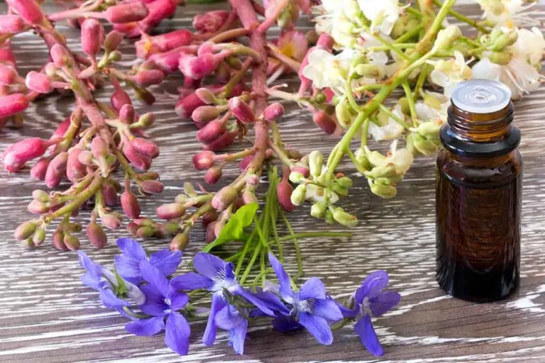 Flores de Bach para mejorar el comportamiento de nuestras mascotas