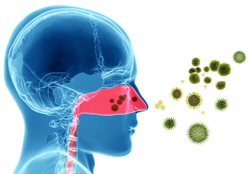Remedios naturales para las alergias nasales