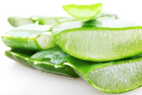 Propiedades del aloe vera