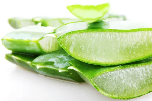 Propiedades del aloe vera