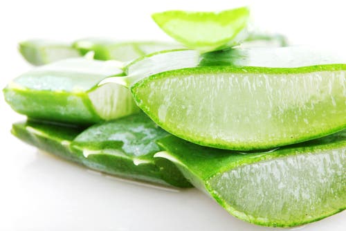 Aloe vera (2)
