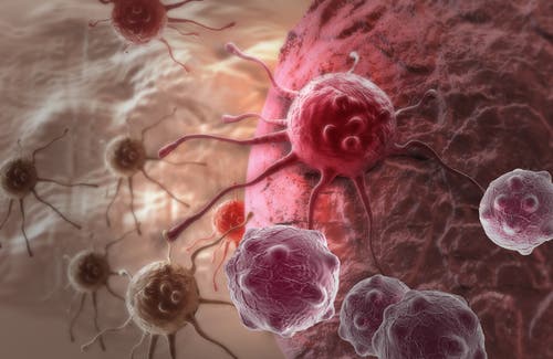 Cáncer