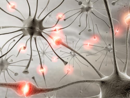 Cómo tener un cerebro sano y fuerte