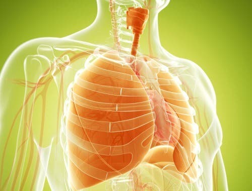 Remedios naturales para los pulmones