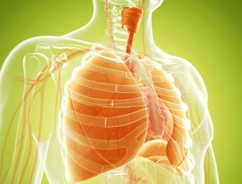 Remedios naturales para los pulmones