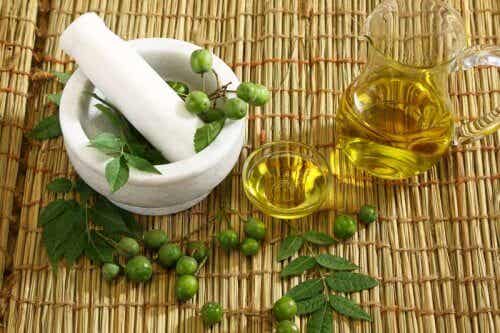 aceite de neem: aceites para nuestro cabello.