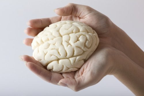 Cerebro en las manos