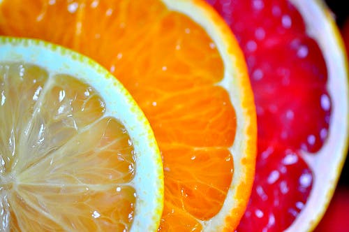 citricos veronicasheppard