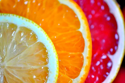 citricos veronicasheppard