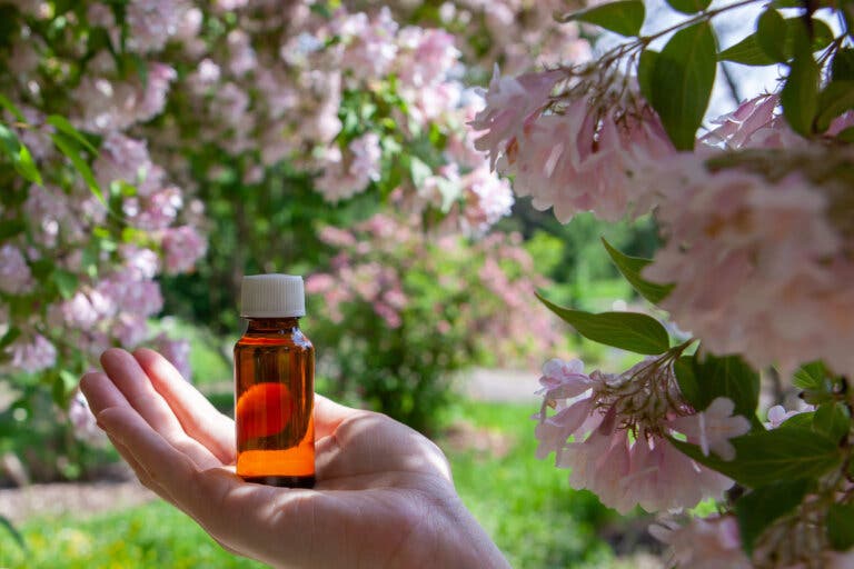 Las flores de Bach, su origen y beneficios