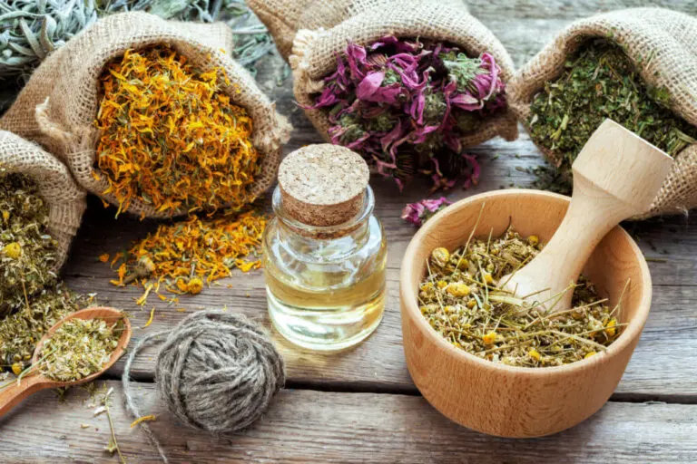 ¿Homeopatía: una aliada en el tratamiento de las hemorroides?