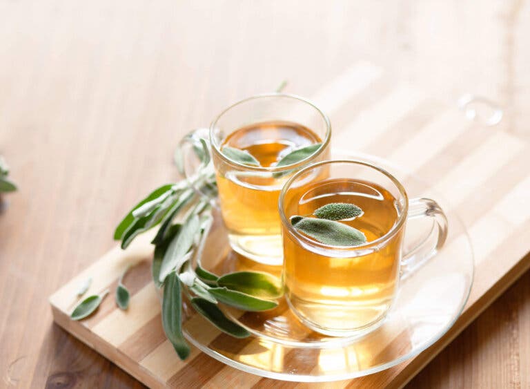 Aprende a preparar infusión de salvia y conoce sus beneficios